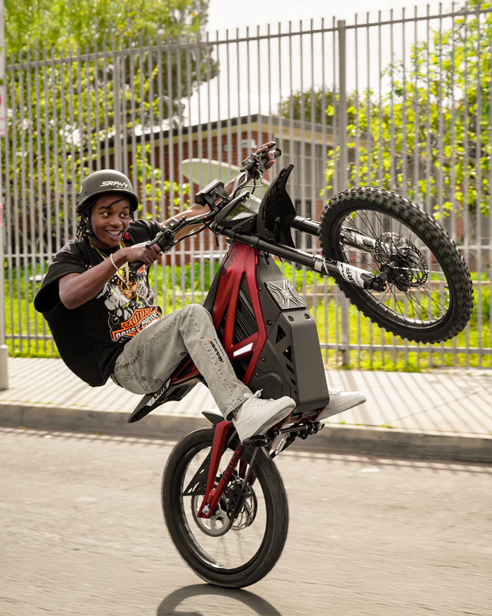 SRPNT Ebike
