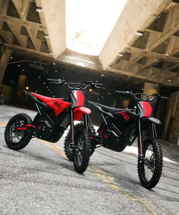 Best Electric Pit Bike for Adults